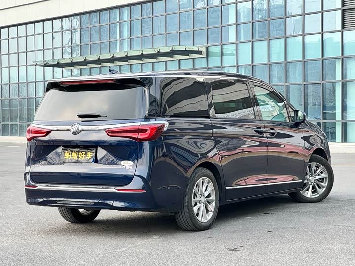 Фото 6 - Buick GL8 ES