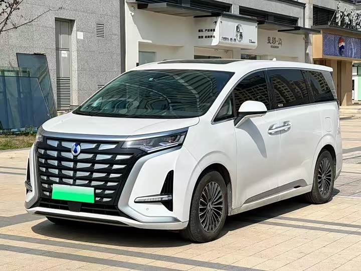 Фото 1 - Denza D9