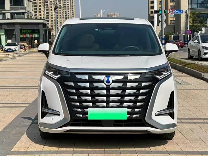 Фото 2 - Denza D9