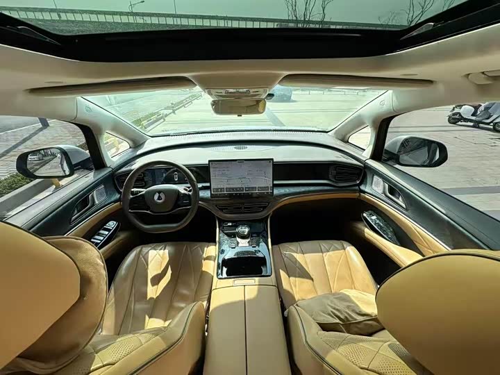 Фото 4 - Denza D9