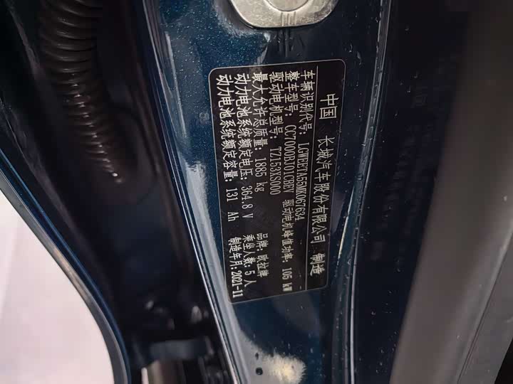 Фото 8 - Ora Good Cat (03)