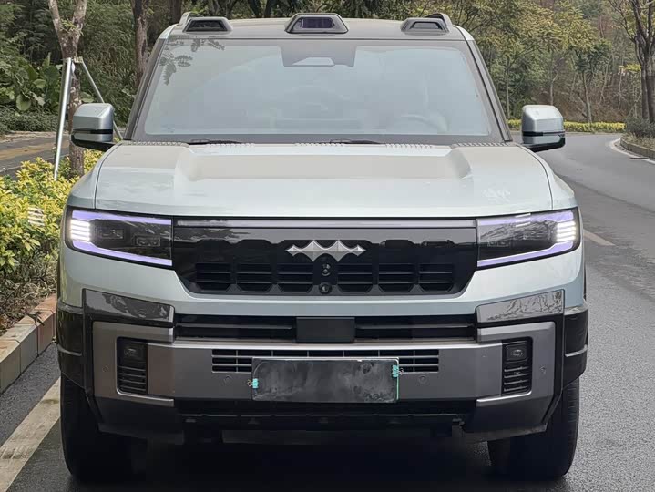 Фото 2 - BYD FangChengBao Leopard 8