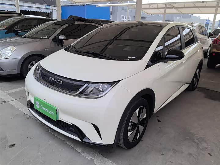 Фото 2 - BYD Dolphin