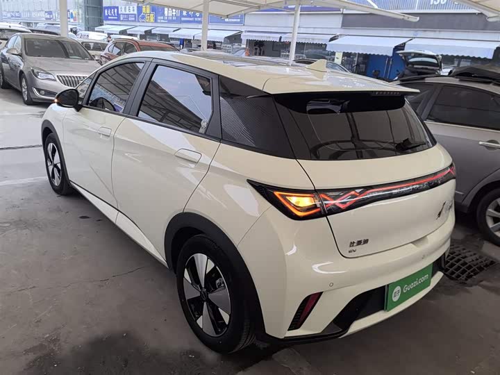 Фото 4 - BYD Dolphin