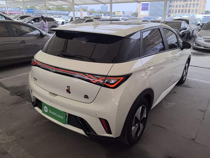 Фото 6 - BYD Dolphin