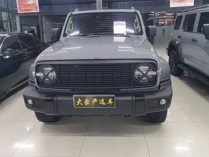 Фото 2 - Tank 300