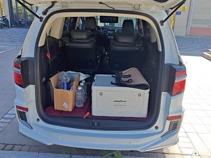 Фото 4 - Honda Elysion