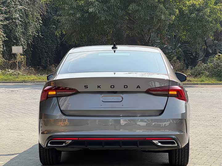 Фото 5 - Skoda Octavia Pro