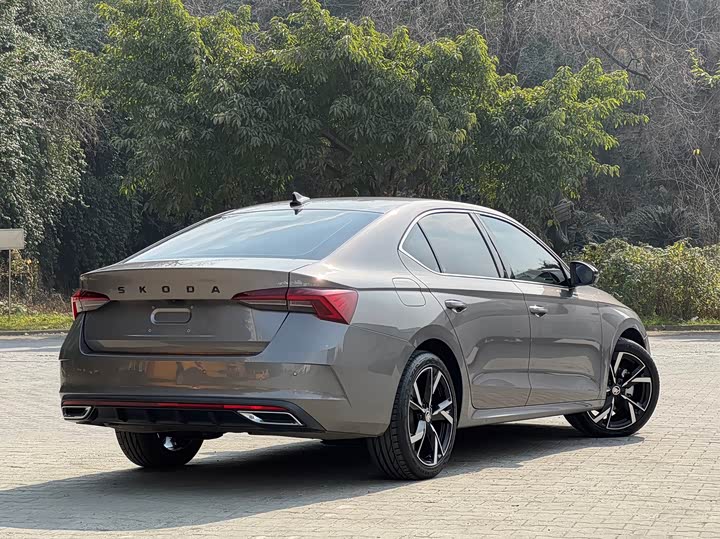 Фото 6 - Skoda Octavia Pro