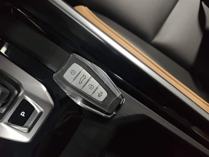 Фото 9 - Geely Okavango Pro