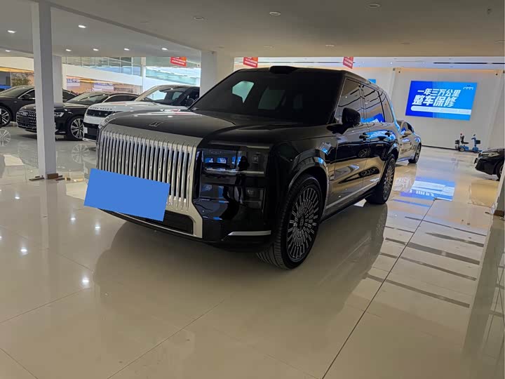 Фото 1 - Zeekr 9X