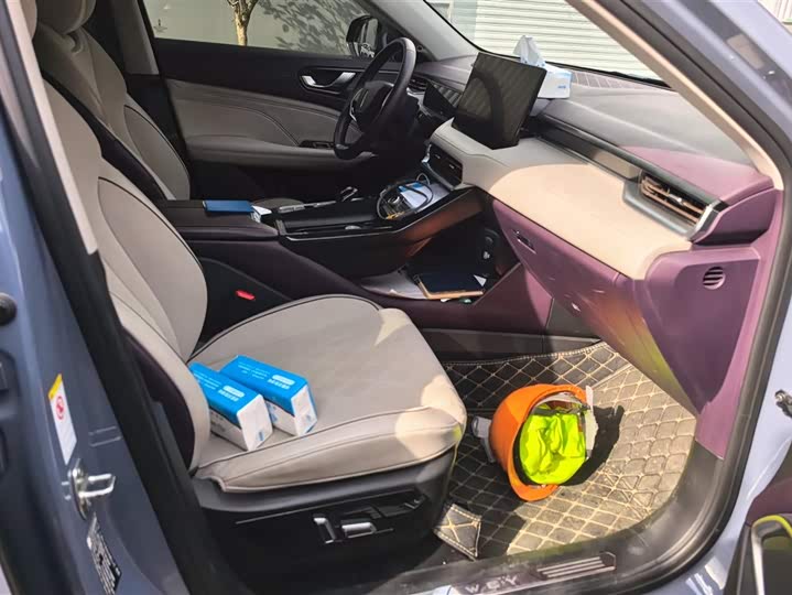 Фото 8 - Wey Latte DHT