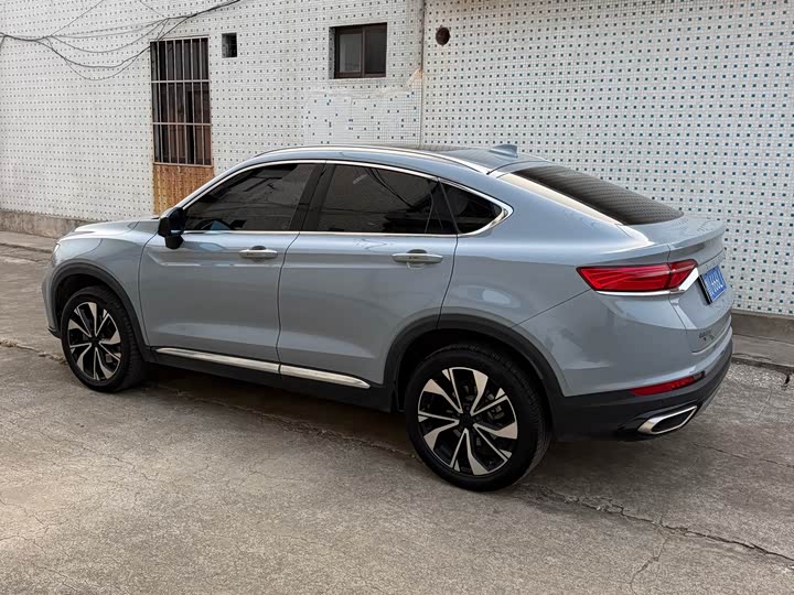 Фото 7 - Geely Tugella S