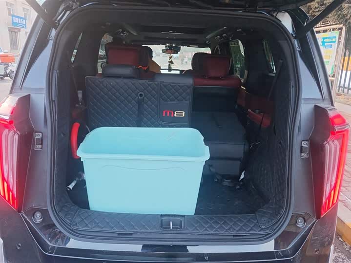 Фото 4 - GAC Trumpchi M8