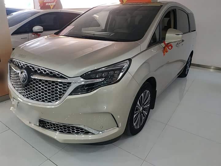 Фото 1 - Buick GL8 ES