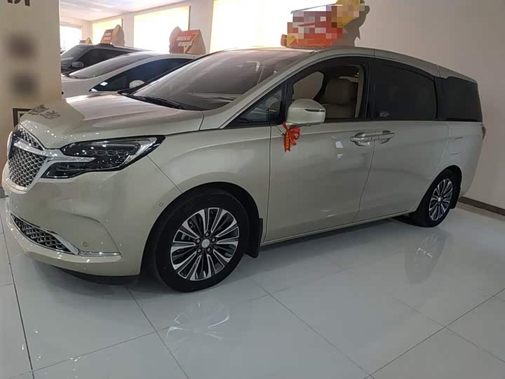 Фото 5 - Buick GL8 ES