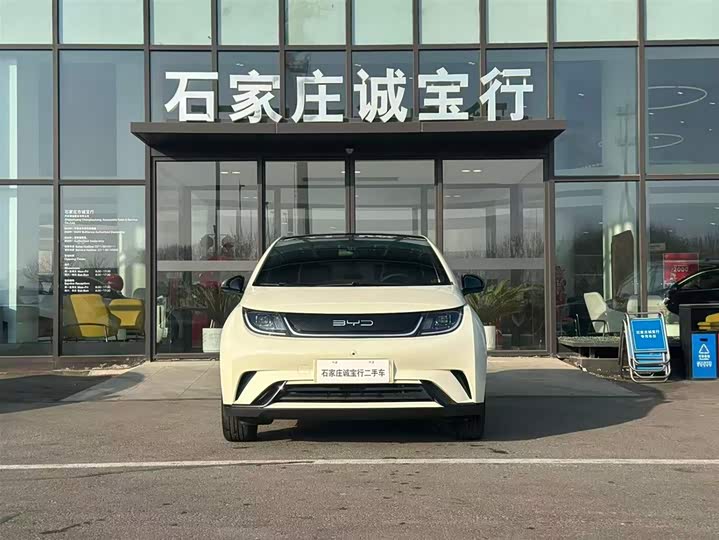 Фото 2 - BYD Dolphin