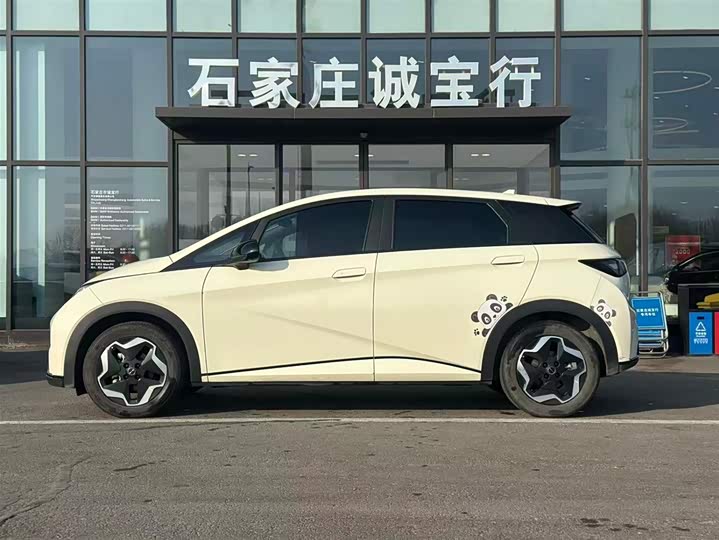 Фото 3 - BYD Dolphin