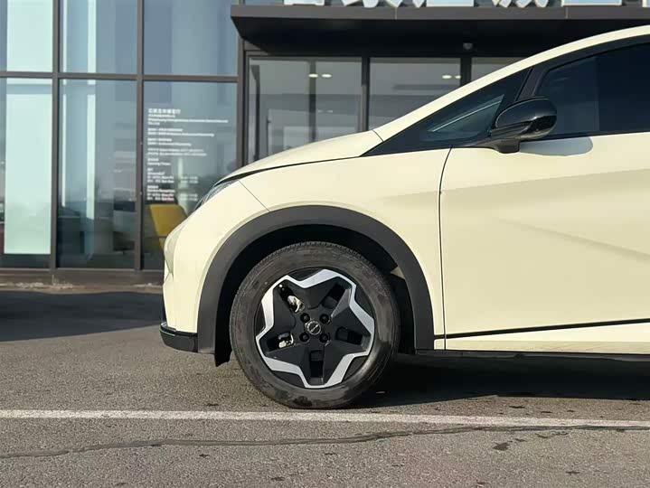 Фото 4 - BYD Dolphin