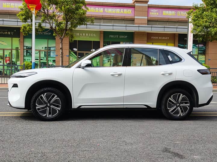 Фото 8 - Geely Galaxy Starship 7