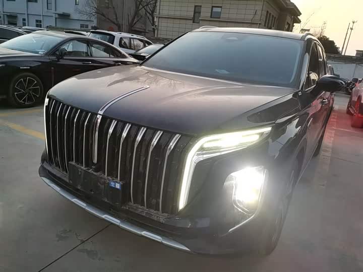 Фото 1 - Hongqi HS7 Hybrid