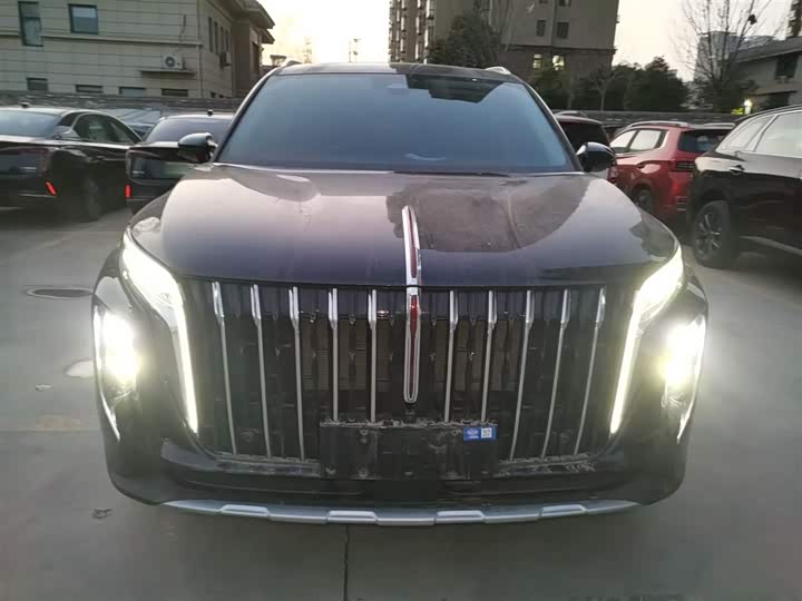 Фото 3 - Hongqi HS7 Hybrid