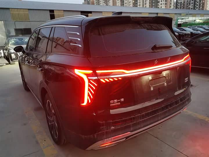Фото 5 - Hongqi HS7 Hybrid