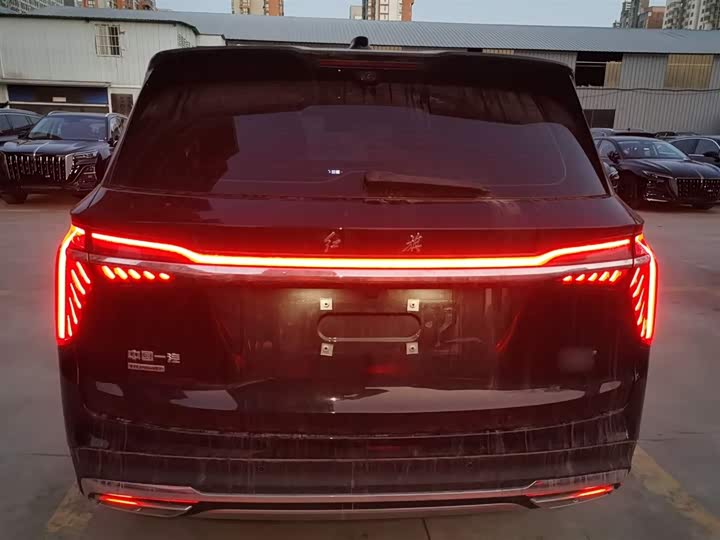 Фото 6 - Hongqi HS7 Hybrid