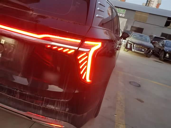 Фото 8 - Hongqi HS7 Hybrid