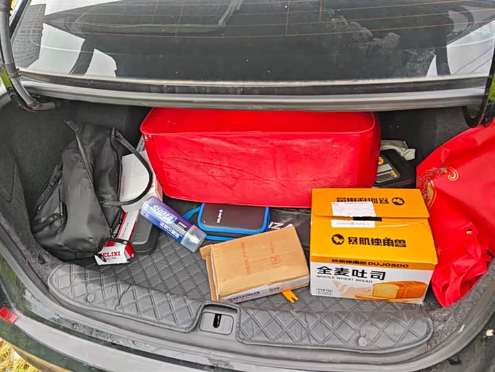 Фото 4 - Chevrolet Monza