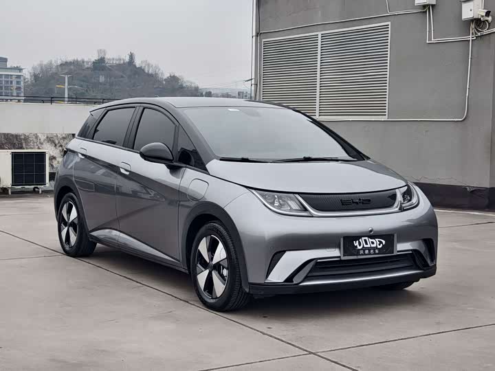 Фото 2 - BYD Dolphin