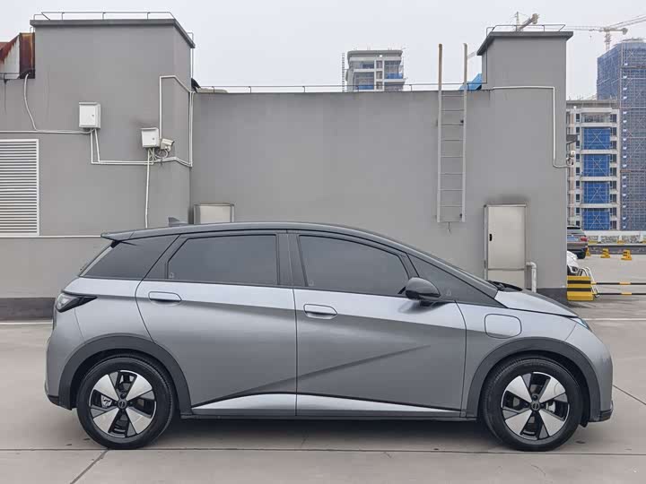 Фото 4 - BYD Dolphin