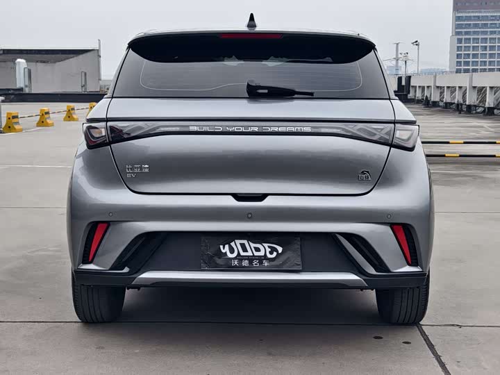 Фото 5 - BYD Dolphin