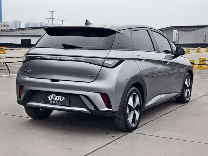 Фото 6 - BYD Dolphin