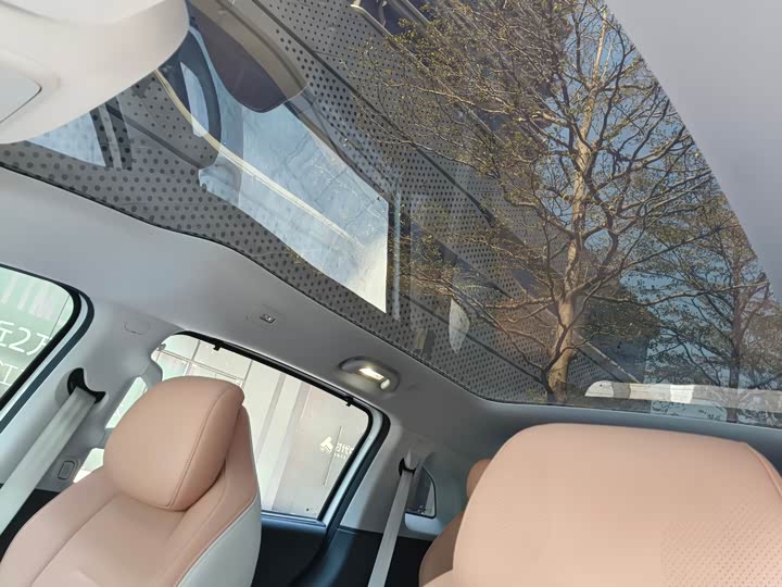 Фото 9 - BAIC Arcfox Kaola