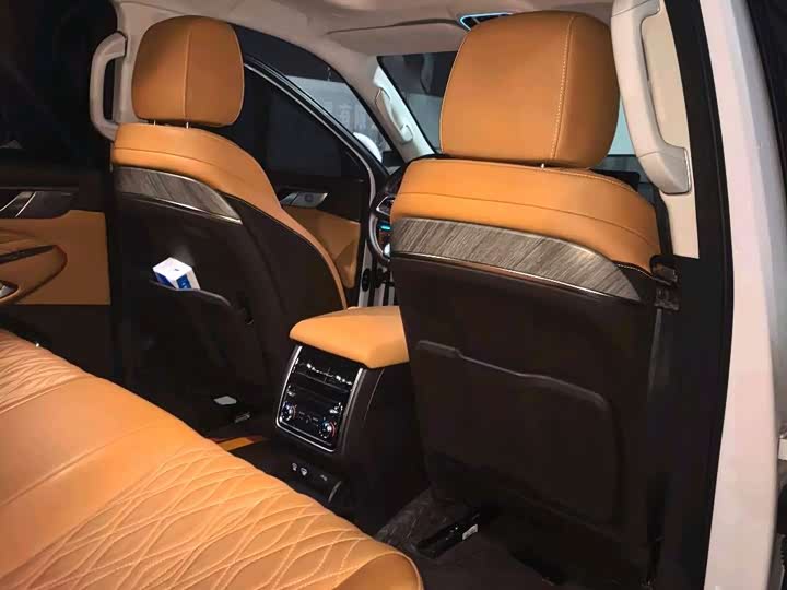 Фото 6 - Tank 500 Hybrid