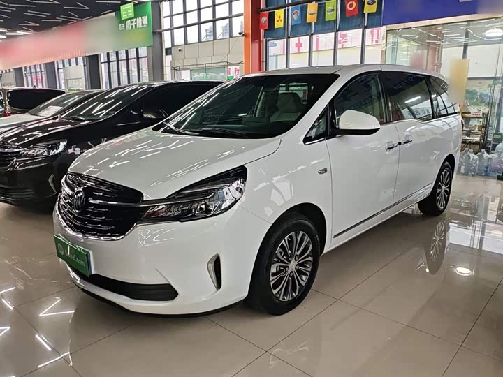 Фото 1 - Buick GL8 ES