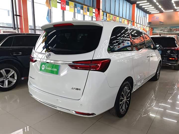 Фото 7 - Buick GL8 ES