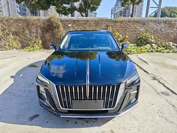 Фото 2 - Hongqi H5