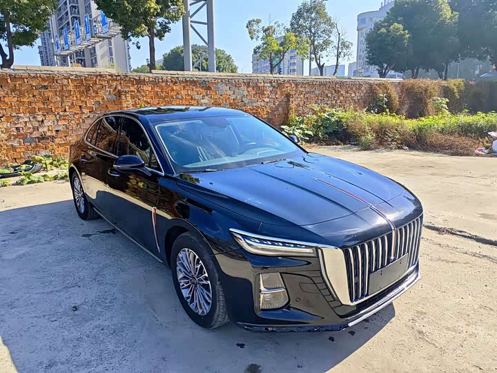 Фото 3 - Hongqi H5