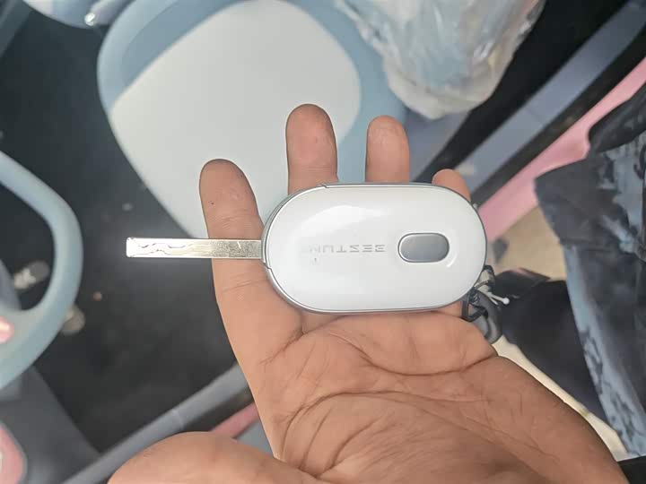 Фото 9 - Bestune Pony