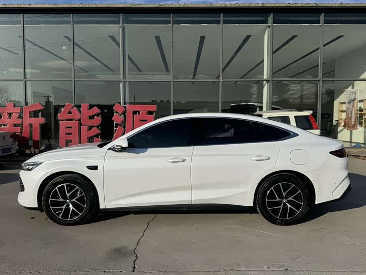 Фото 5 - BYD Qin L