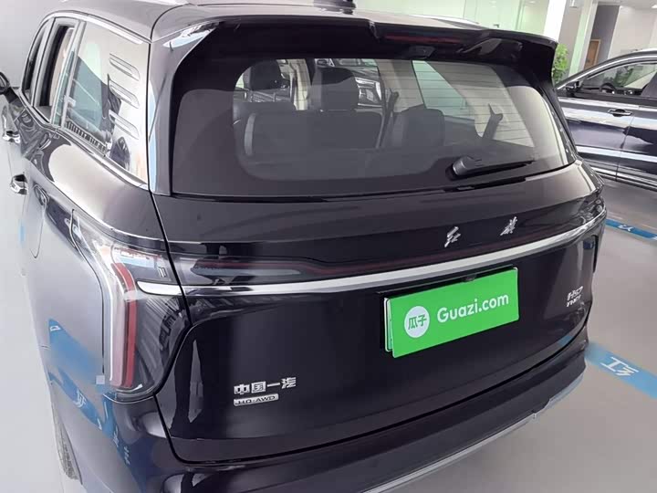 Фото 6 - Hongqi HS7 Hybrid