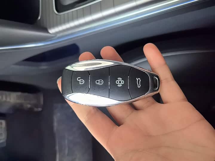 Фото 9 - Hongqi HS7 Hybrid