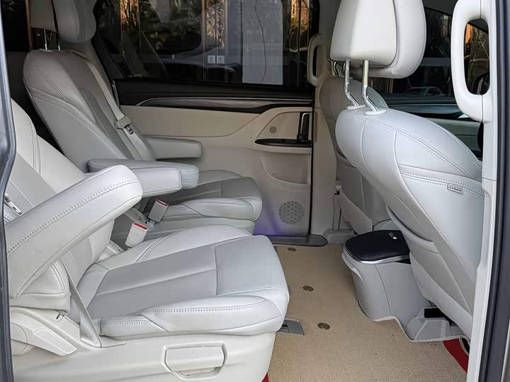 Фото 9 - Buick GL8 ES