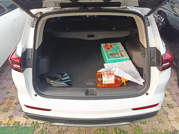 Фото 4 - Buick Envision Plus