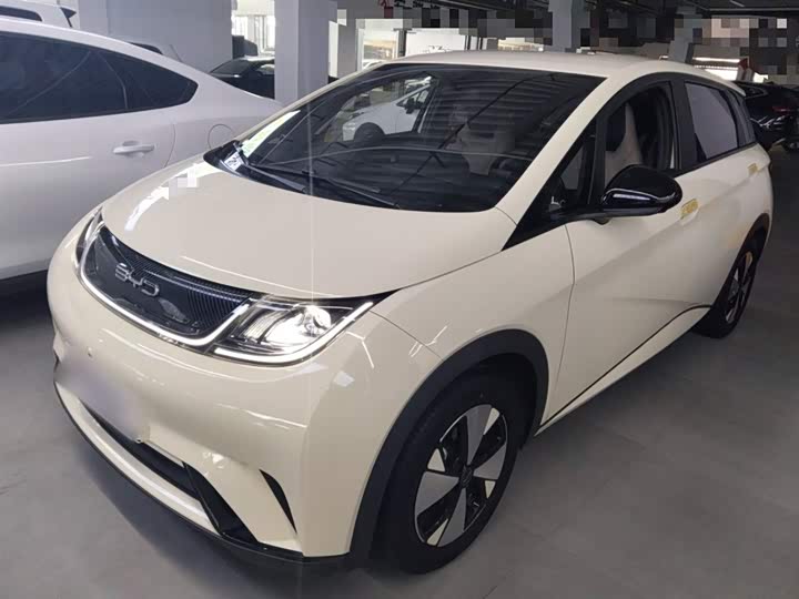 Фото 1 - BYD Dolphin