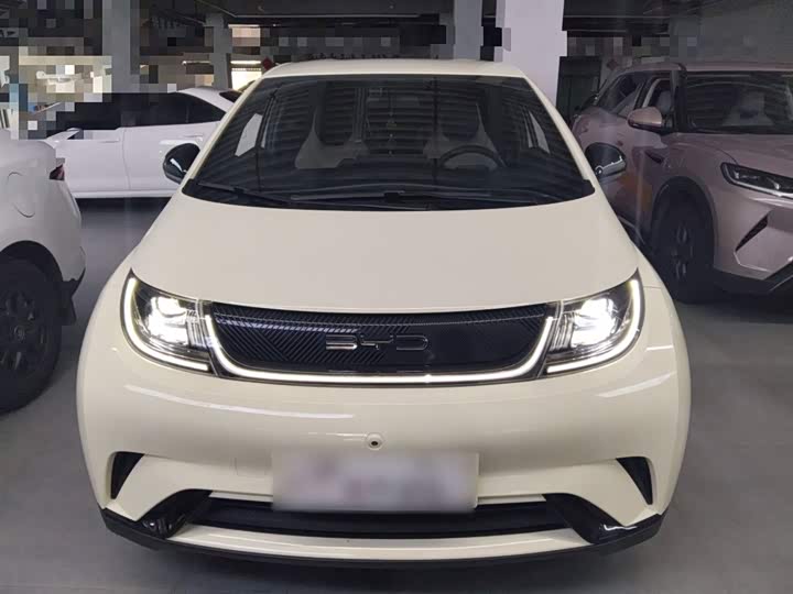 Фото 3 - BYD Dolphin