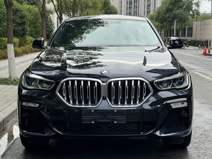 Фото 2 - BMW X6