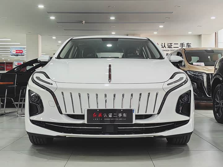 Фото 2 - Hongqi E-QM5